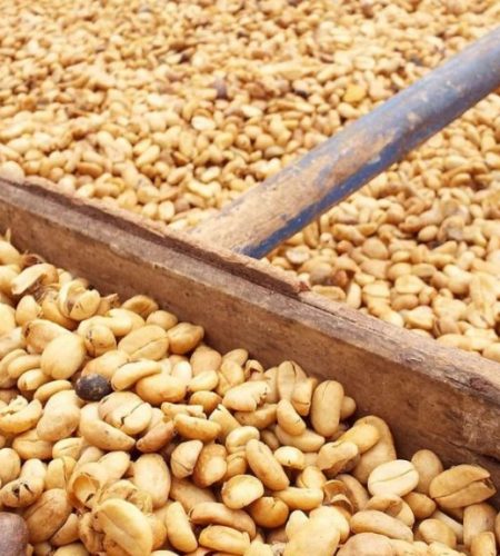 Secando-el-grano-de-cafe-2-e1576239441920-1024x576